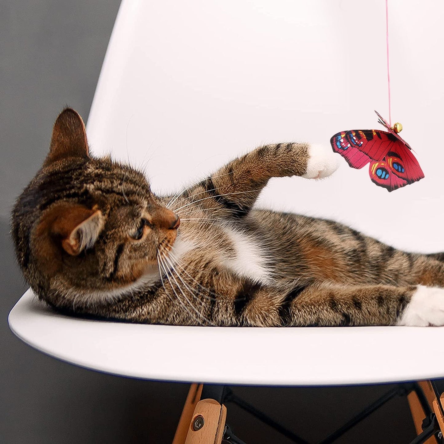 Basil Cat Teaser Stick with Butterfly and Bell