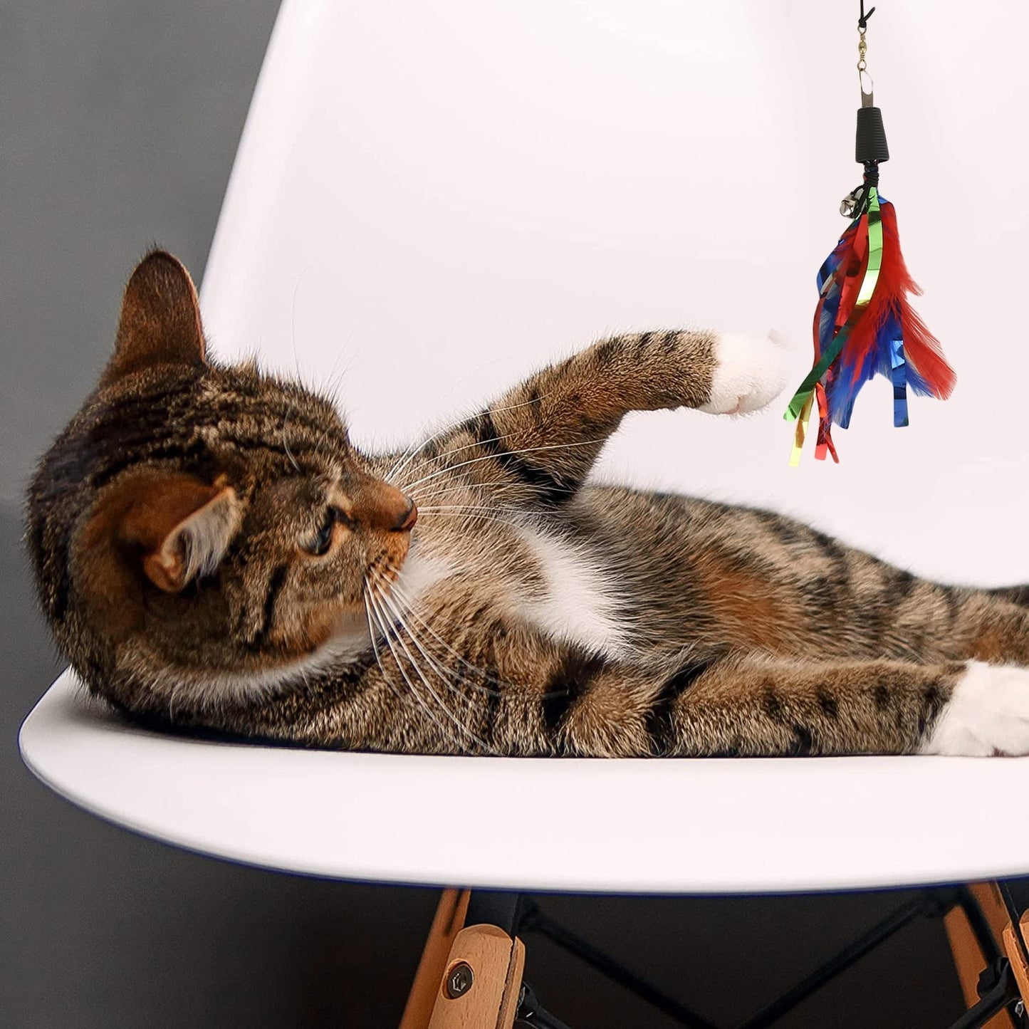 Basil Cat Teaser Stick with Feather and Bell