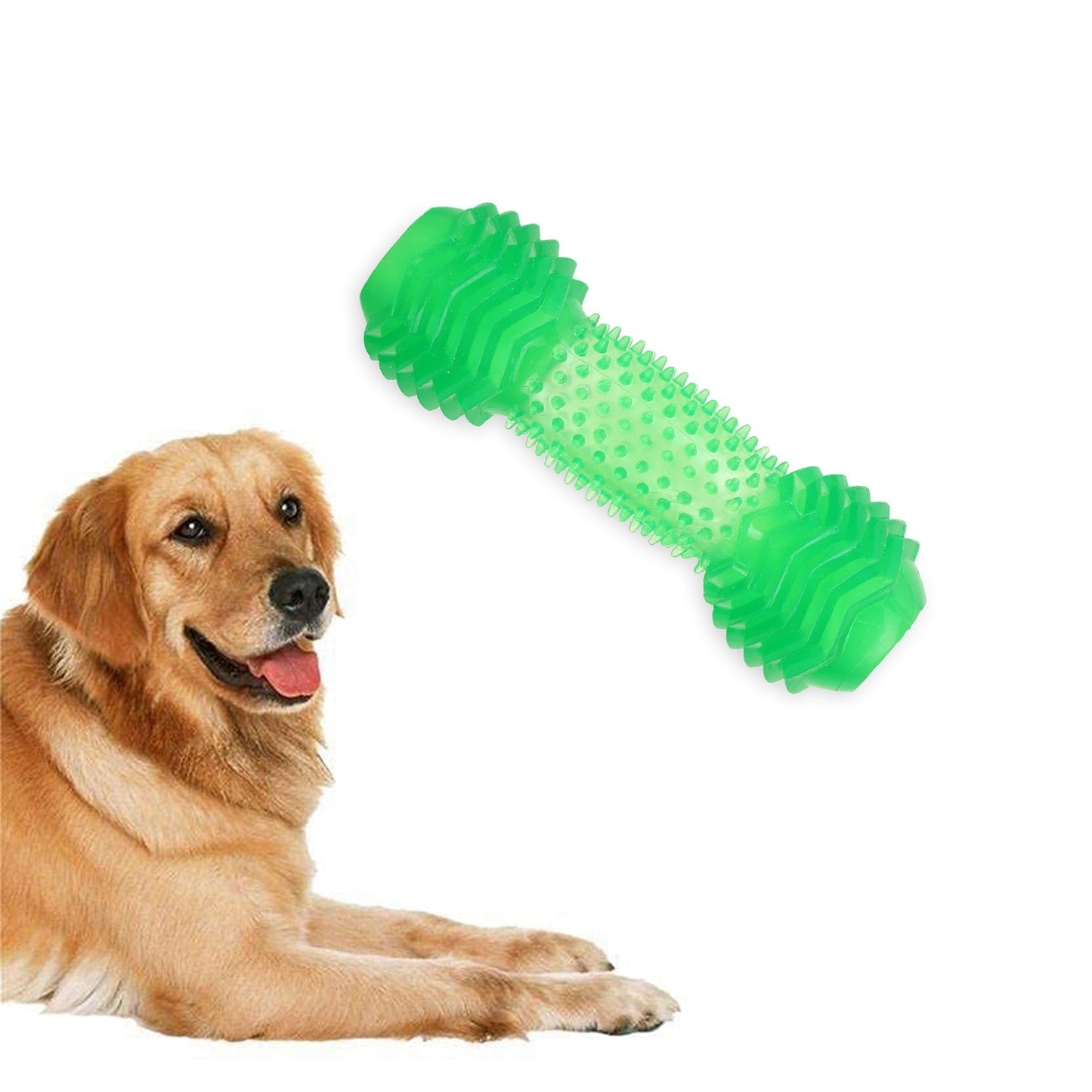 Basil Green Dumbbell Toy with Hollow Centre for Treats