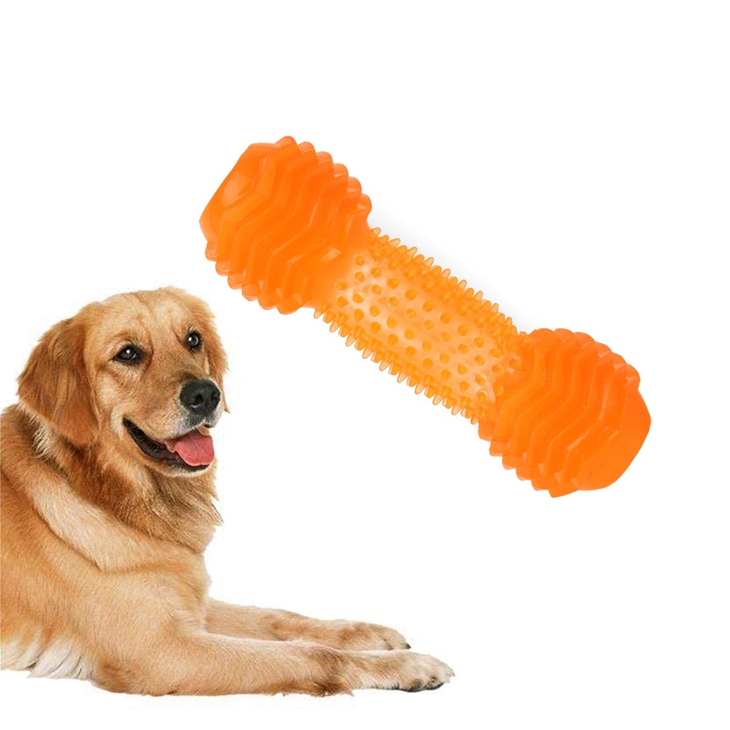 Basil Dumbbell Toy with Hollow Centre for Treats