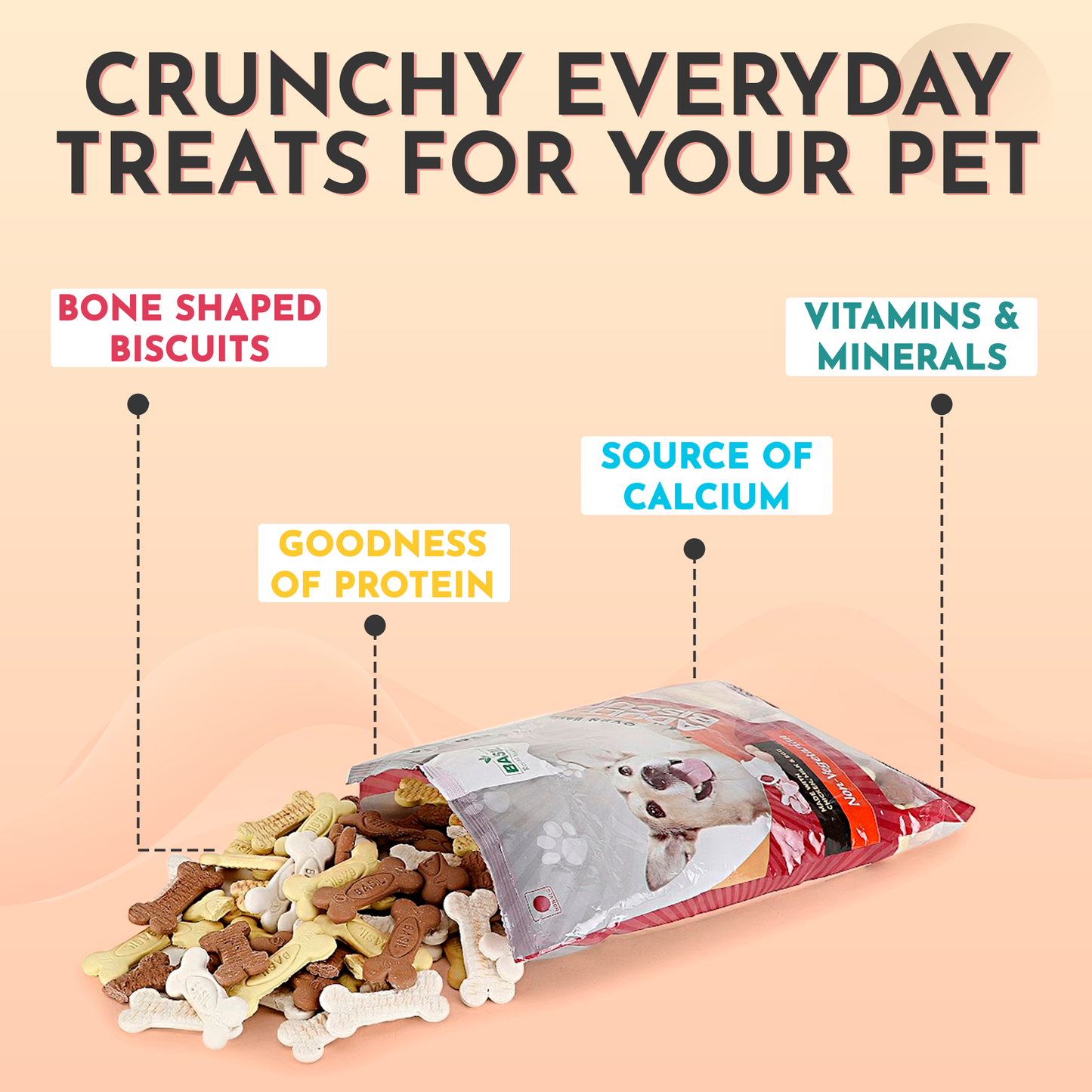 Basil Dog Biscuits, Real Chicken Bone Shaped Training Treat for Adult Dogs, All Breed (900 Grams)