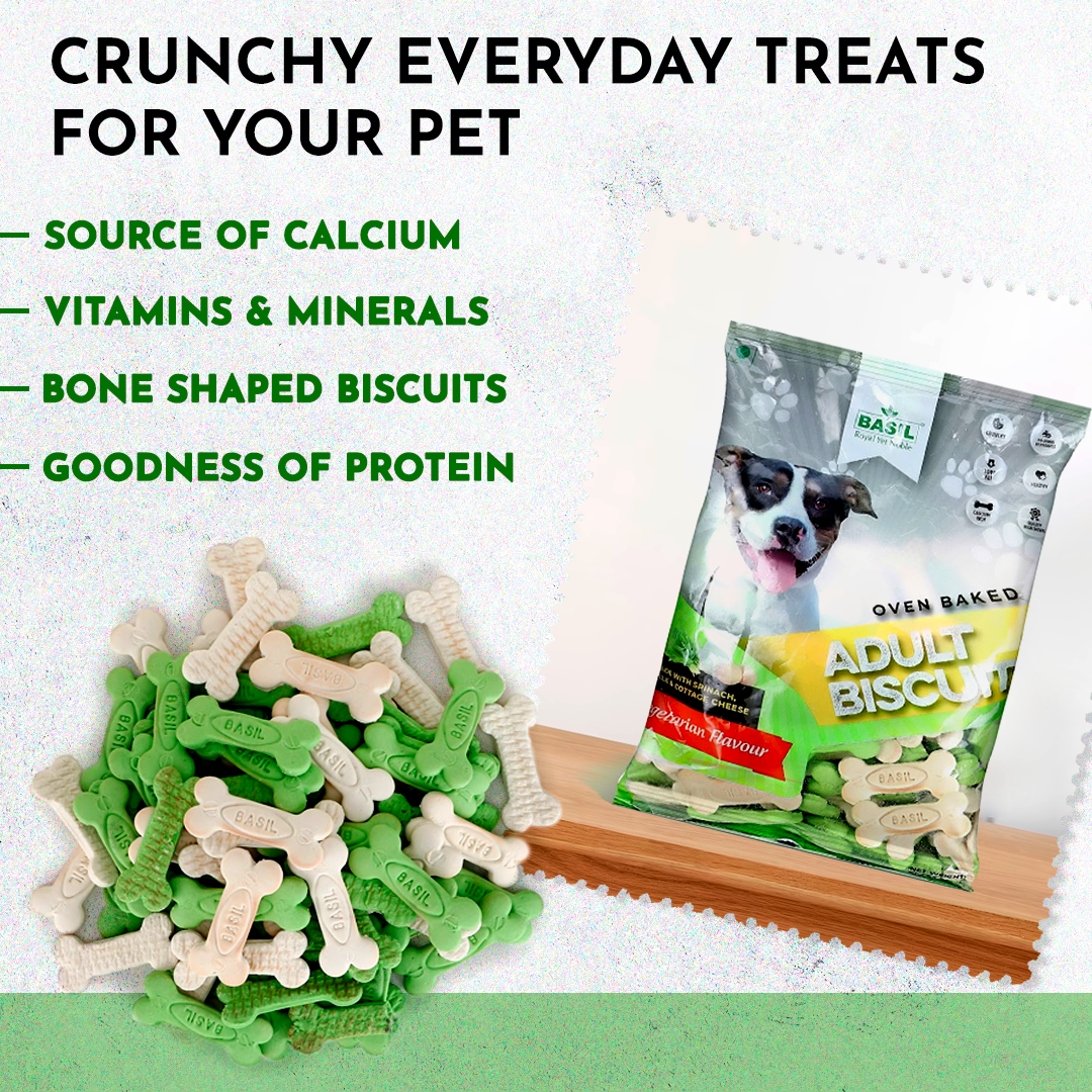 Basil Dog Biscuits, Real Milk Bone Shaped Training Treat for Adult Dogs, All Breed (900 Grams)