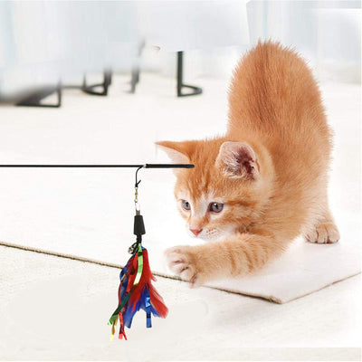 Basil Cat Teaser Stick with Feather and Bell