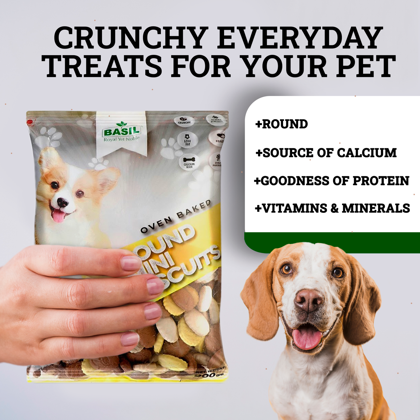 Basil Dog Biscuits, Round Shaped Real Chicken Training Treat for Adult Dogs, Small Breed (900 Grams)
