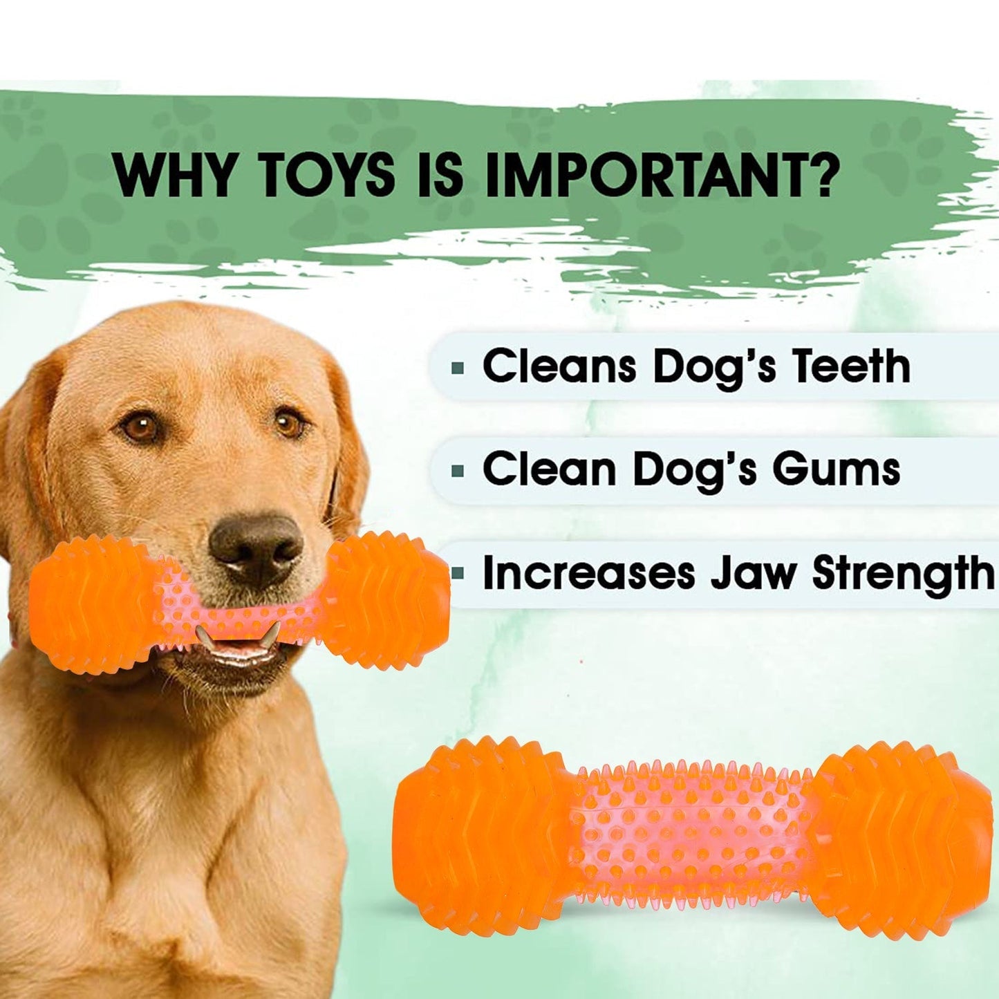 Basil Dumbbell Toy with Hollow Centre for Treats