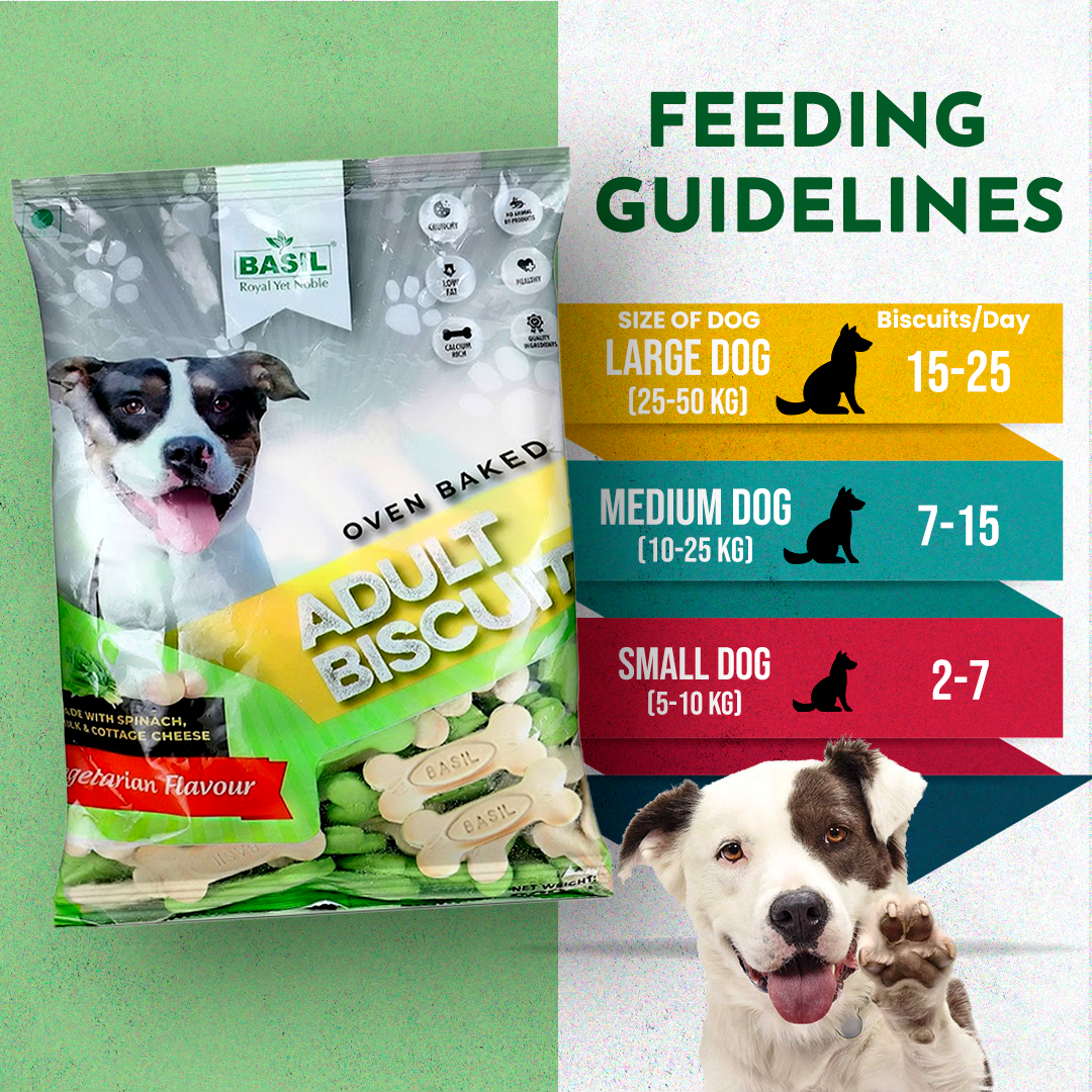 Basil Dog Biscuits, Real Milk Bone Shaped Training Treat for Adult Dogs, All Breed (900 Grams)