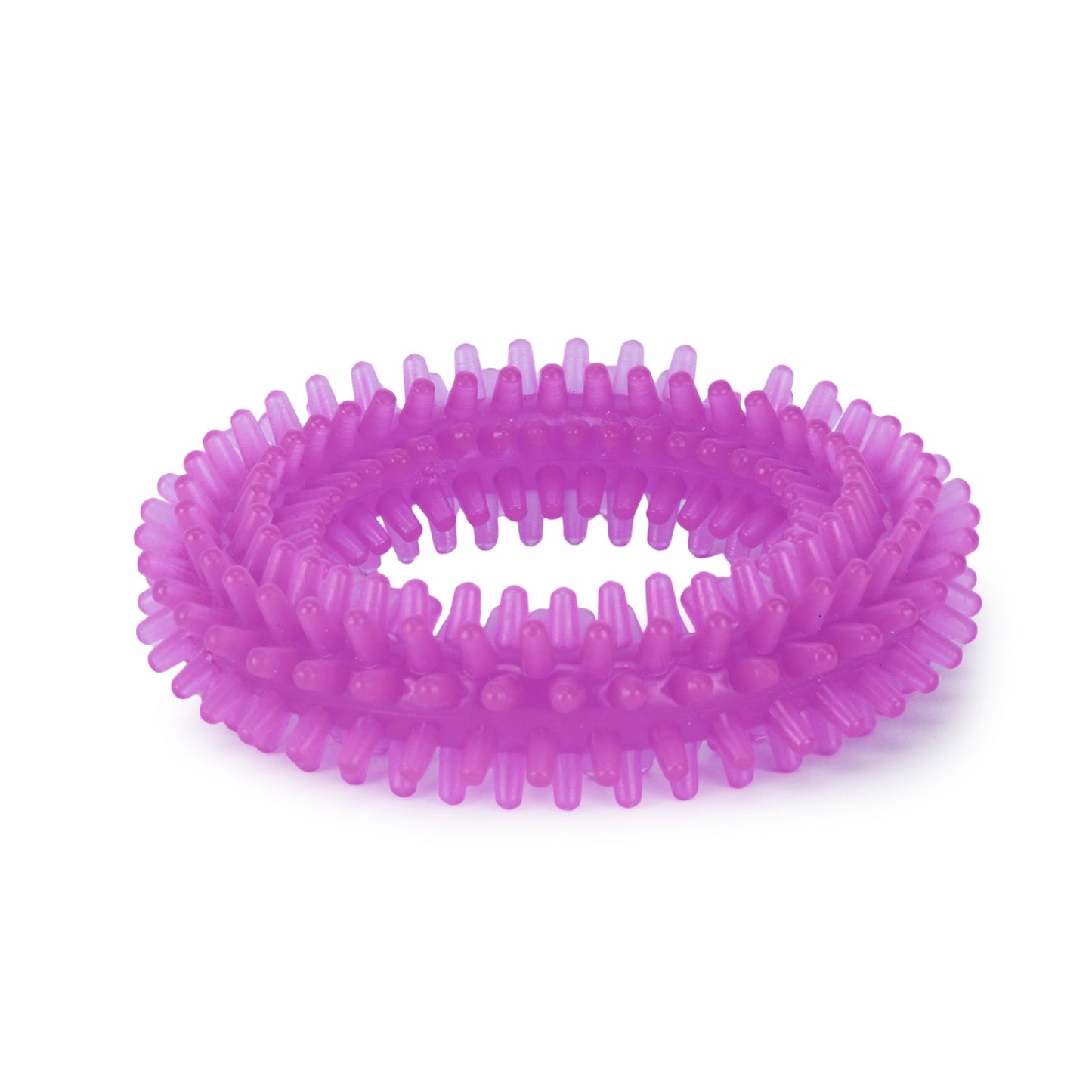 Basil Dog Chew Toy, Spiked Ring (Purple)