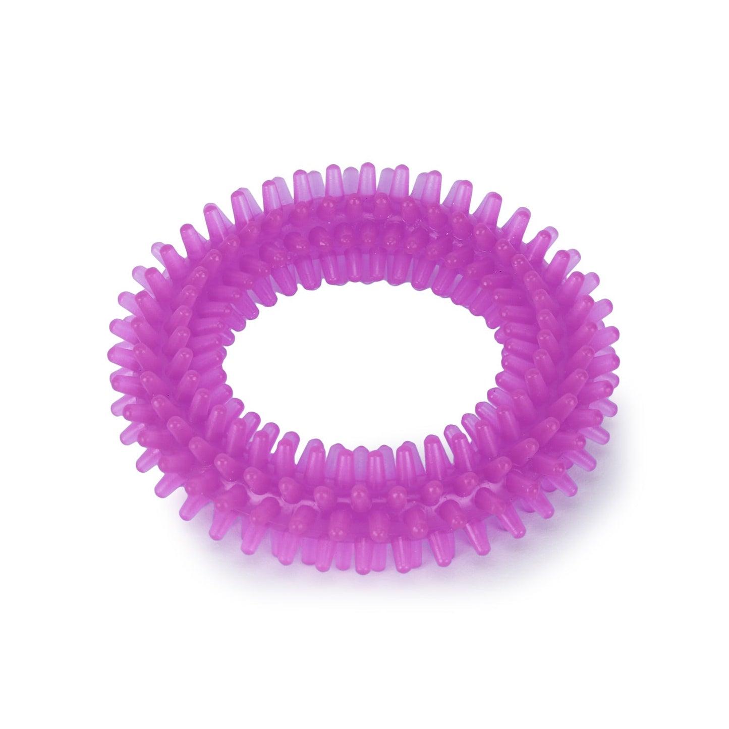 Basil Dog Chew Toy, Spiked Ring (Purple)