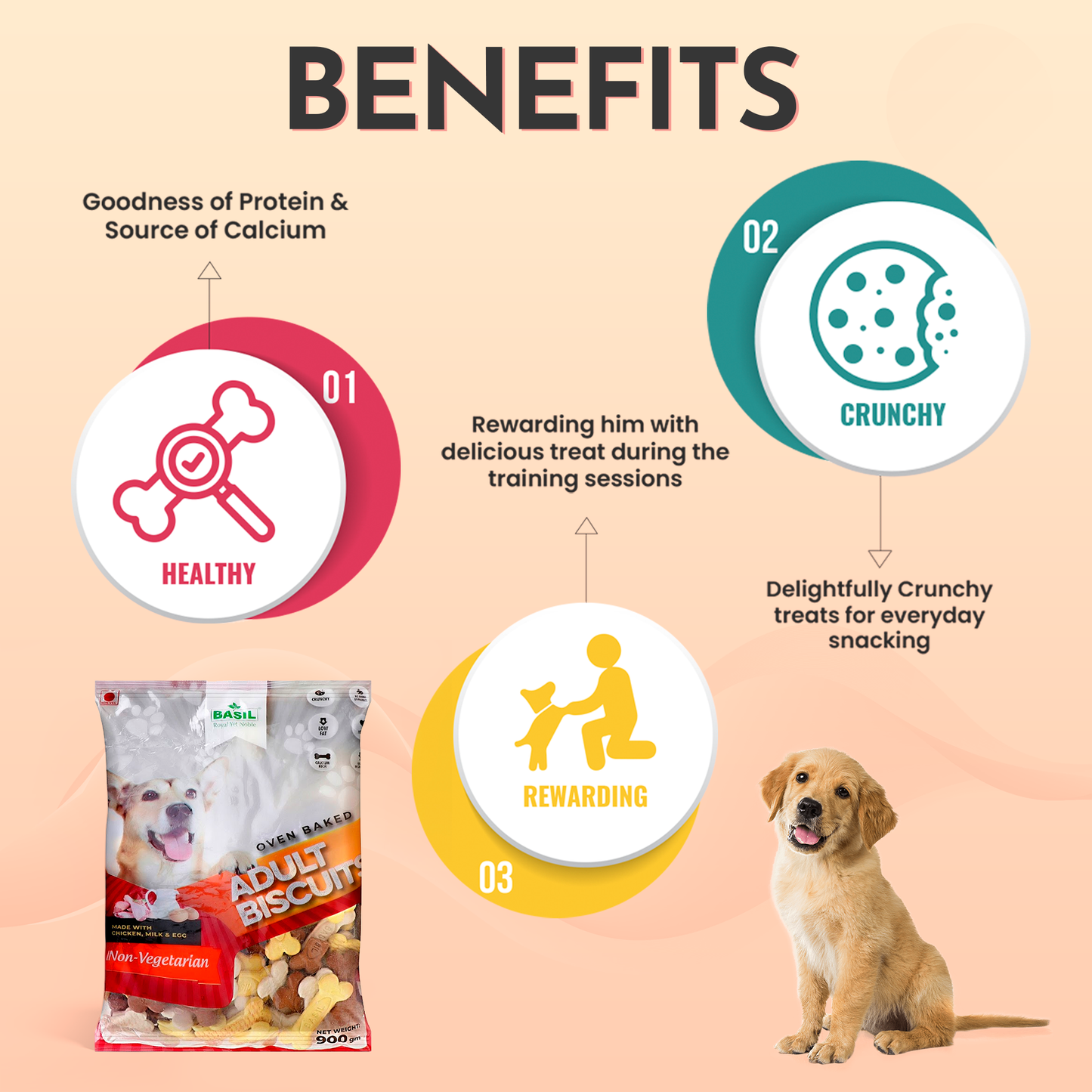 Basil Dog Biscuits, Real Chicken Bone Shaped Training Treat for Adult Dogs, All Breed (900 Grams)