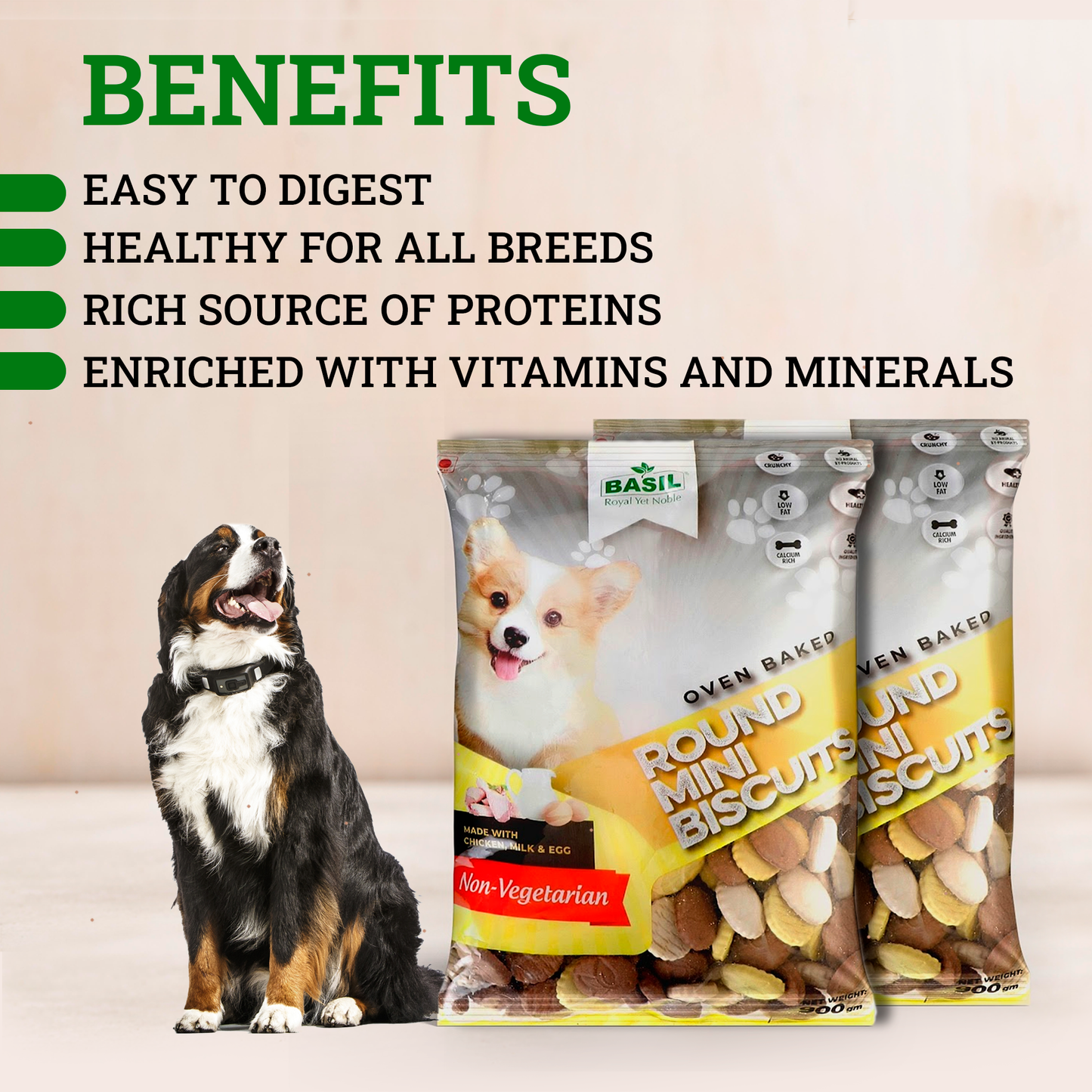 Basil Dog Biscuits, Round Shaped Real Chicken Training Treat for Adult Dogs, Small Breed (900 Grams)
