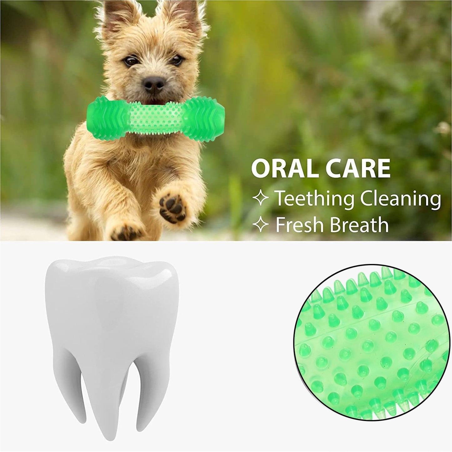 Basil Green Dumbbell Toy with Hollow Centre for Treats