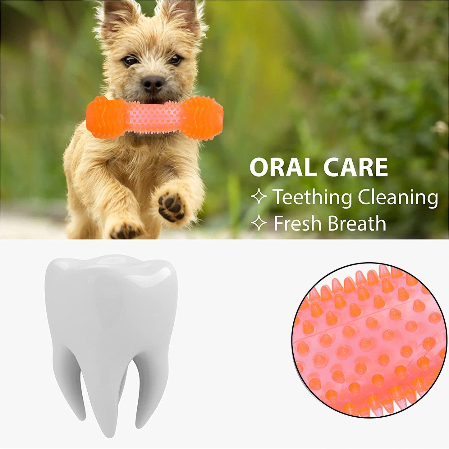 Basil Dumbbell Toy with Hollow Centre for Treats