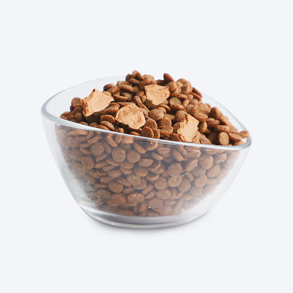 Kit Cat Chicken Cuisine Premium Adult Dry Cat Food
