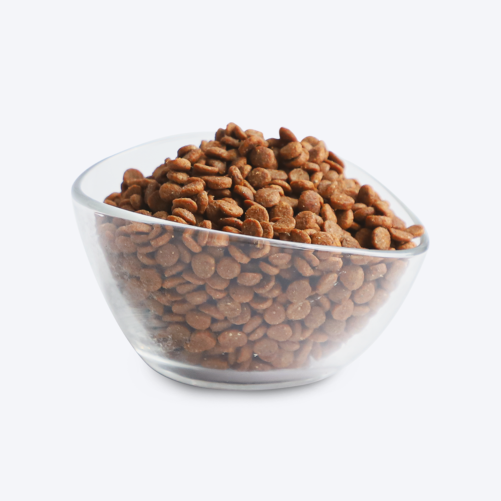 Kit Cat Classic Chicken Premium Adult Dry Cat Food