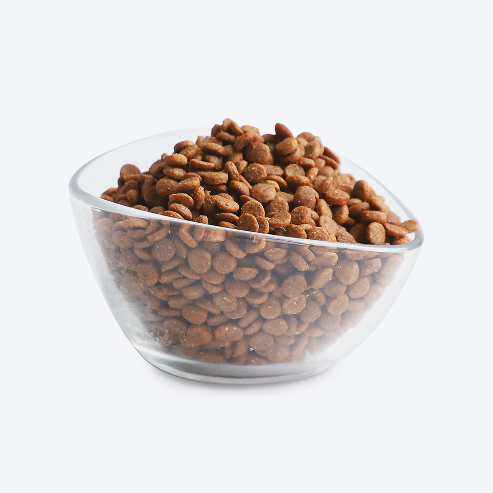 Kit Cat Ocean Fish Premium Adult Dry Cat Food
