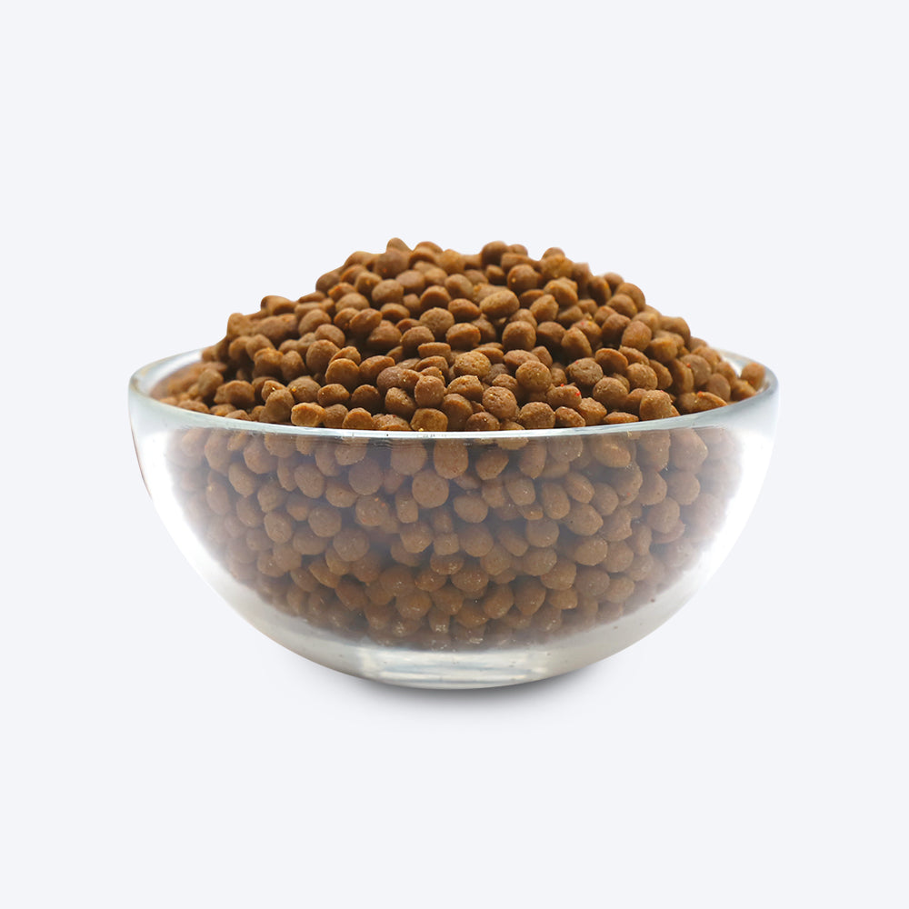 Kit Cat Chicken Premium Dry Kitten & Pregnant Cat Food