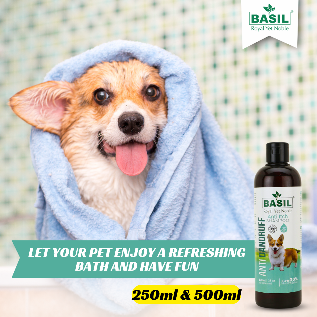 Basil Anti-Dandruff Anti-Itch Shampoo for Dogs and Puppies