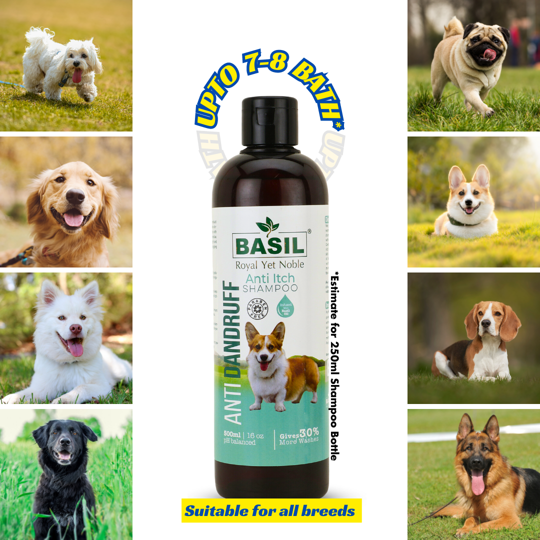 Basil Anti-Dandruff Anti-Itch Shampoo for Dogs and Puppies