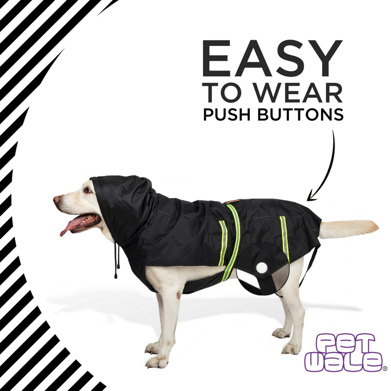 Petwale Raincoat for Dogs with Reflective Strips - ASSORTED