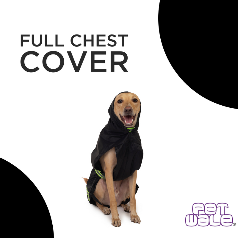 Petwale Raincoat for Dogs with Reflective Strips - ASSORTED