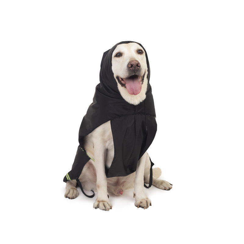Petwale Raincoat for Dogs with Reflective Strips - ASSORTED
