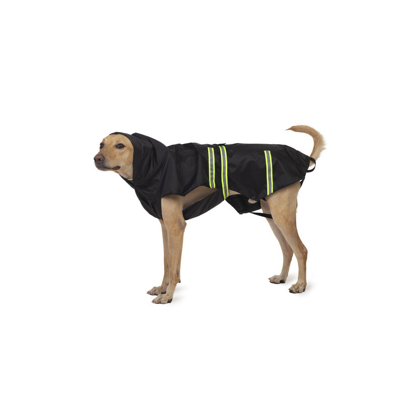 Petwale Raincoat for Dogs with Reflective Strips - ASSORTED