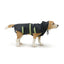 Petwale Black Raincoat for Dogs  with Reflective Strips