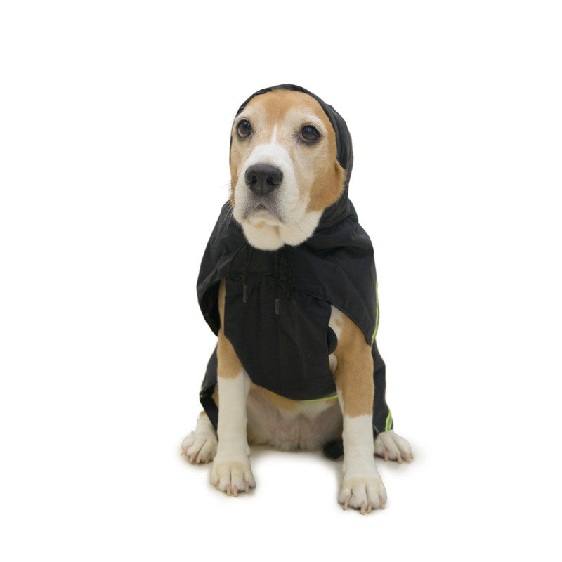 Petwale Raincoat for Dogs with Reflective Strips - ASSORTED