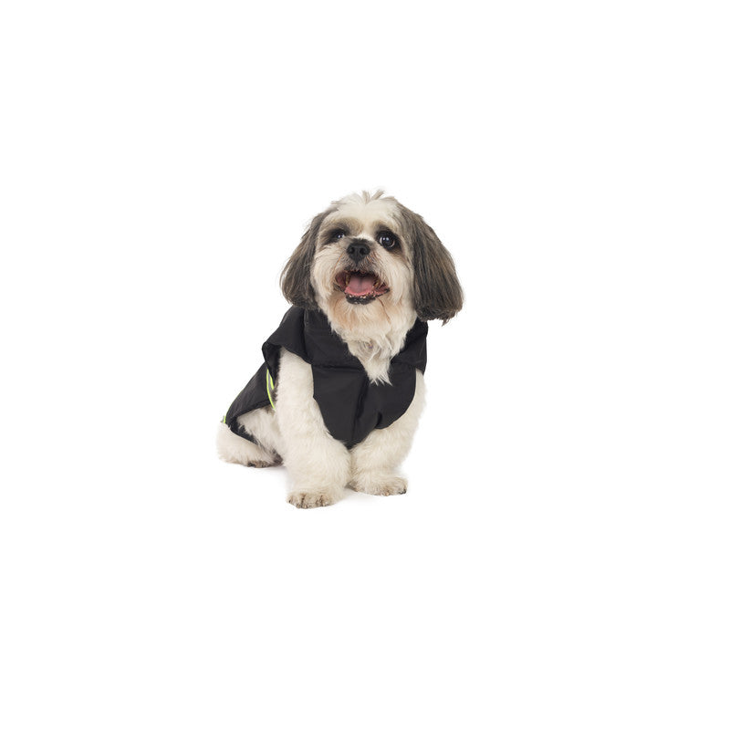 Petwale Raincoat for Dogs with Reflective Strips - ASSORTED