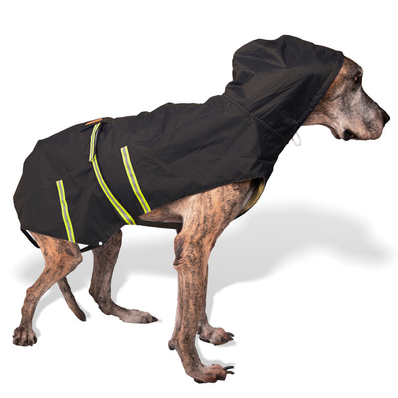 Petwale Raincoat for Dogs with Reflective Strips - ASSORTED