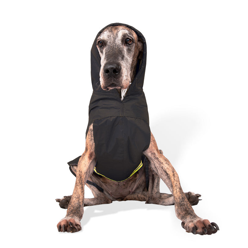 Petwale Raincoat for Dogs with Reflective Strips - ASSORTED