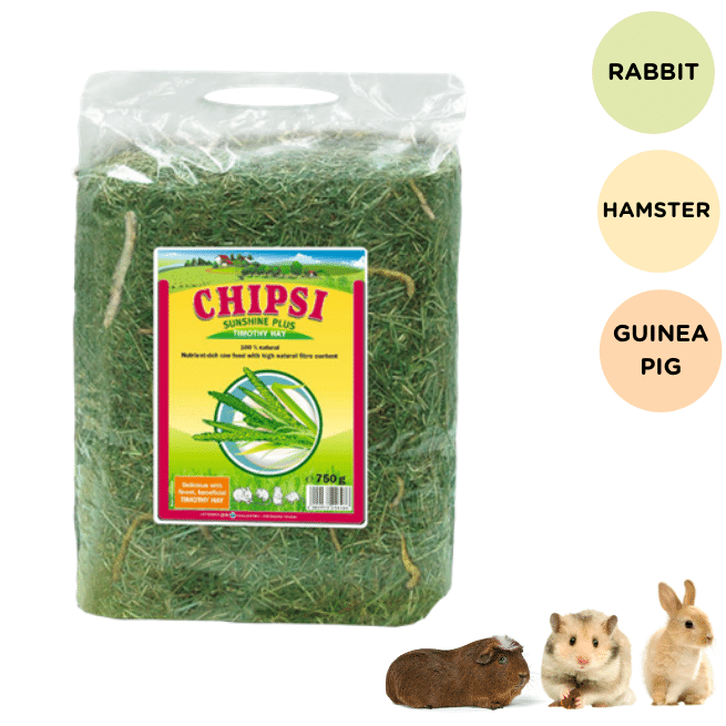 Chipsi- Sunshine Timothy Hay