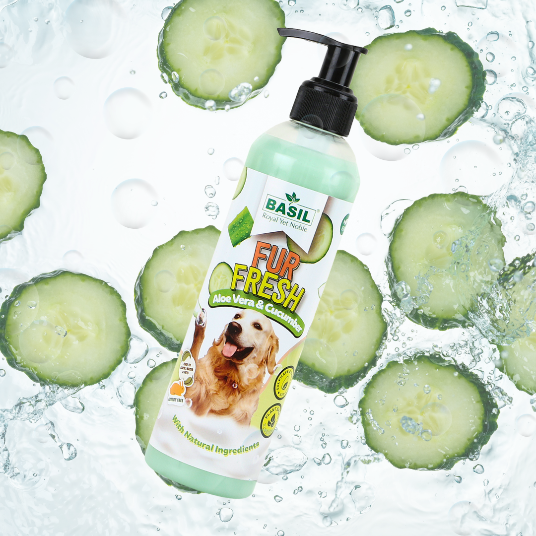 Basil Fur Fresh Aloe Vera & Cucumber Vegan Shampoo for Dogs, 300ml