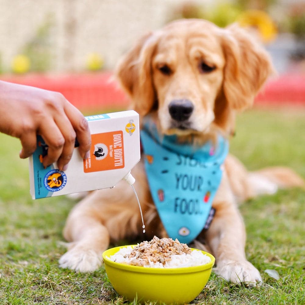 Goofy Tails Chicken Bone Broth for Dogs and Puppies