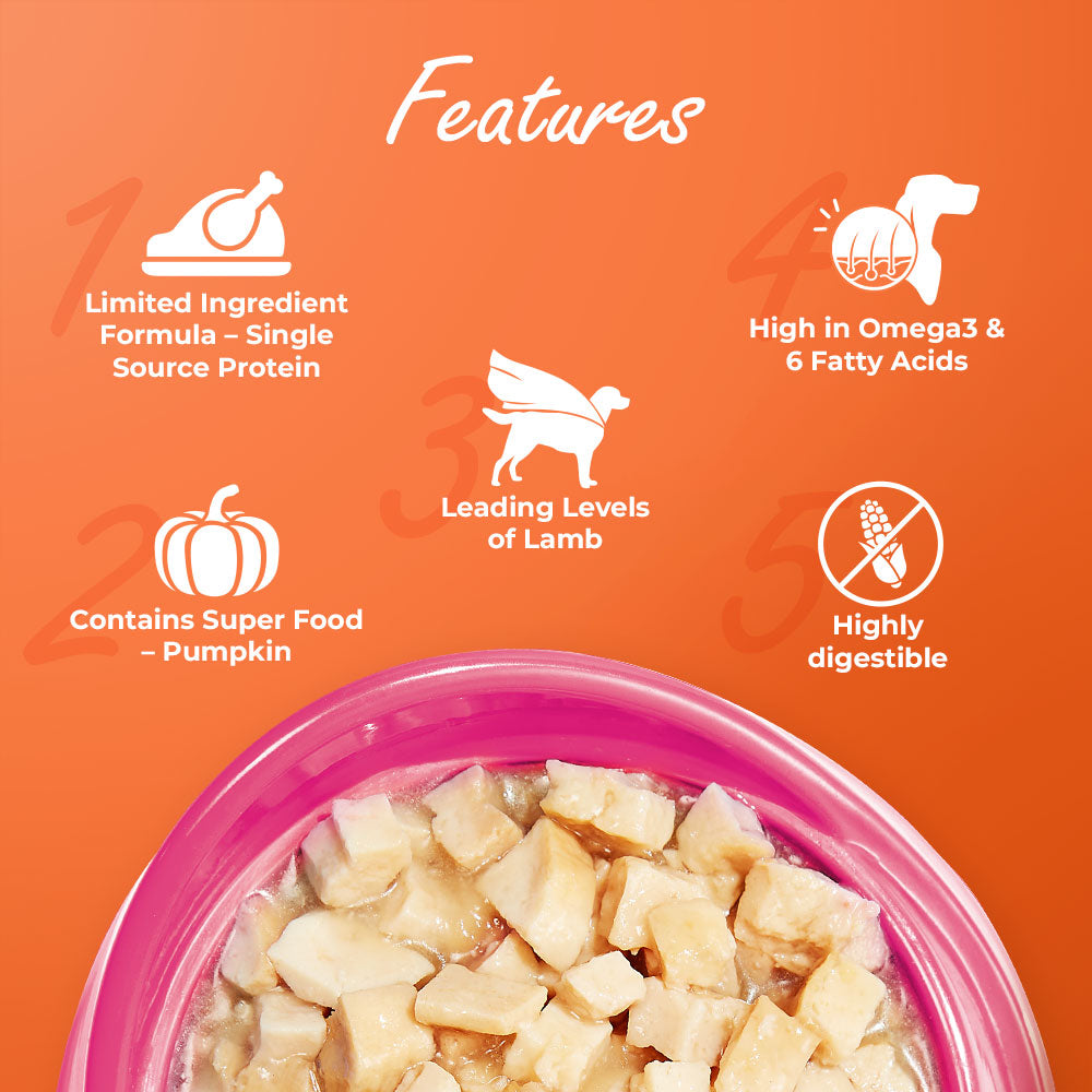 Kennel Kitchen Supreme Cuts in Gravy Lamb With Pumpkin For Dogs - 100g each (Pack of 12)