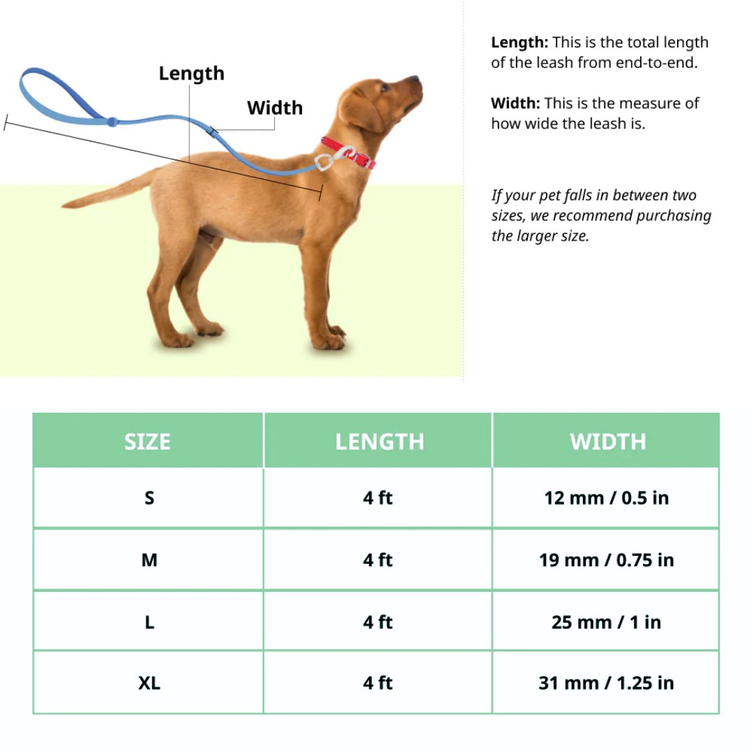 BASIL Rope Leash for Dogs, 4 Feet (Solid Red)