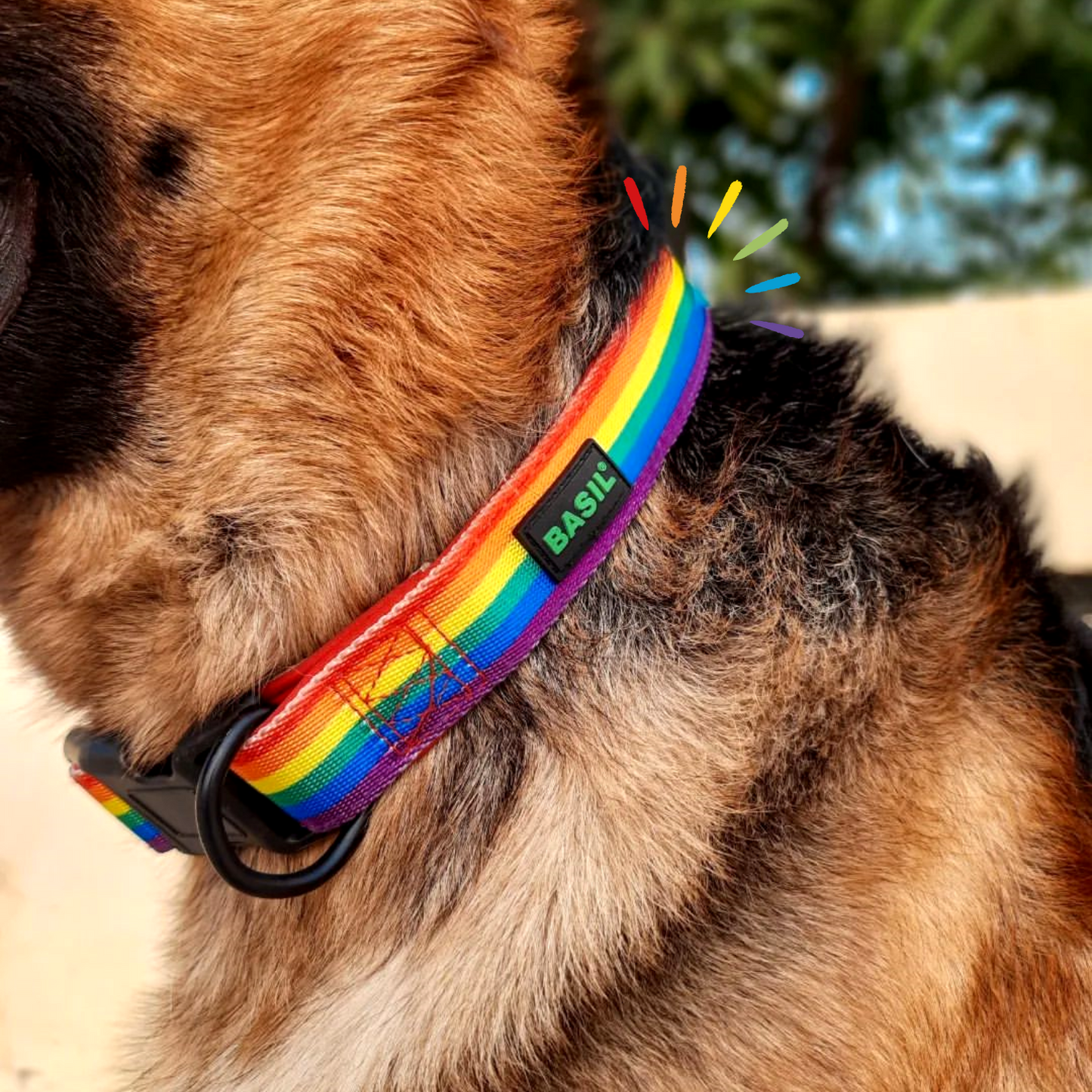 BASIL Rainbow Padded Adjustable Collar for Dogs & Puppies