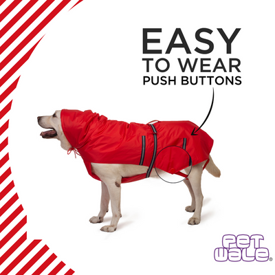 PetWale Red Raincoat for Dogs with Reflective Strips