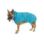 PetWaleTurquoise Raincoat for Dogs with Reflective Strips