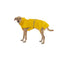 PetWale Yellow Raincoats for Dogs with Reflective Strips