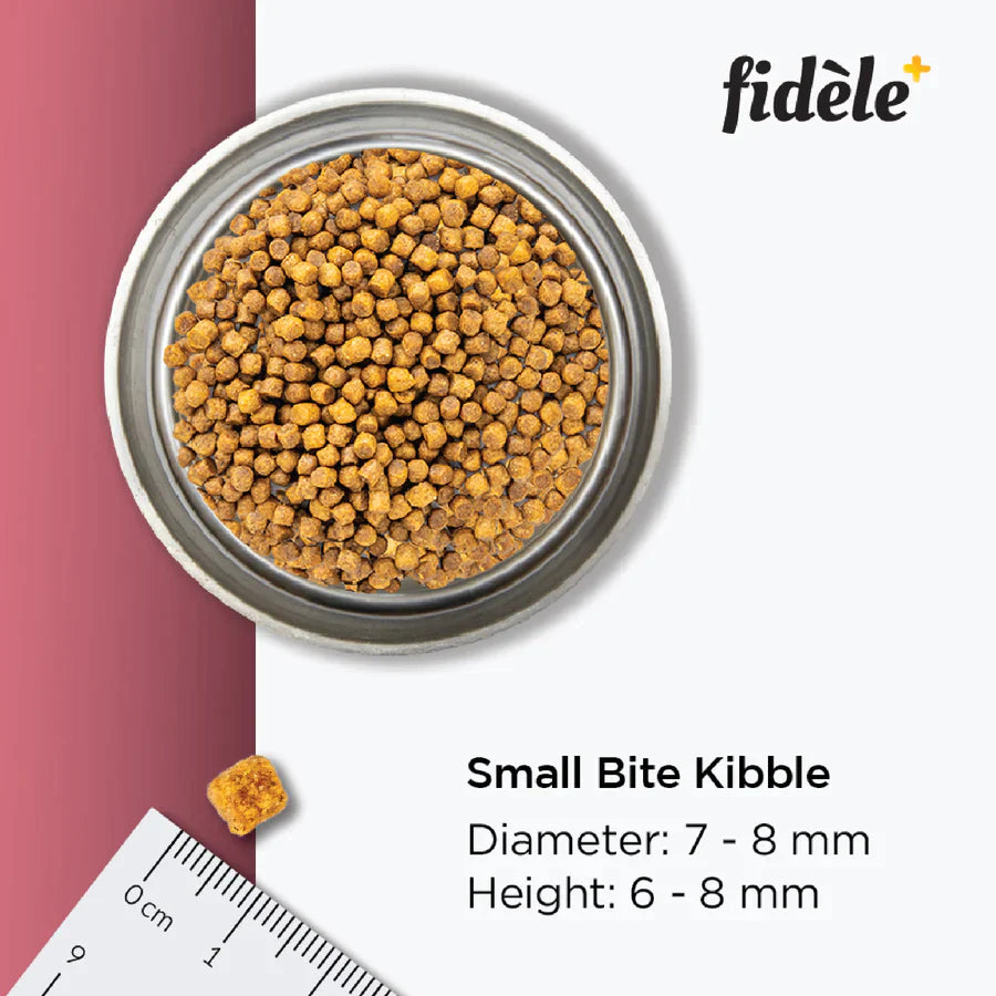 Fidele+ Dry Dog Food Small & Medium Puppy