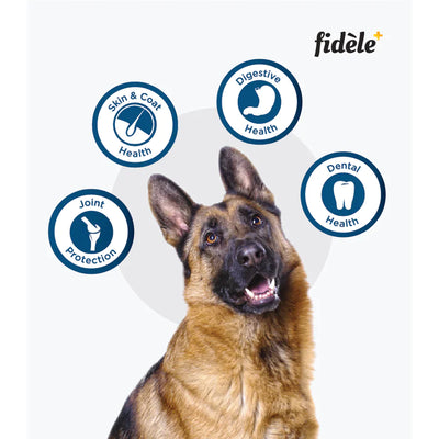 Fidele+ Dry Dog Food Adult Large