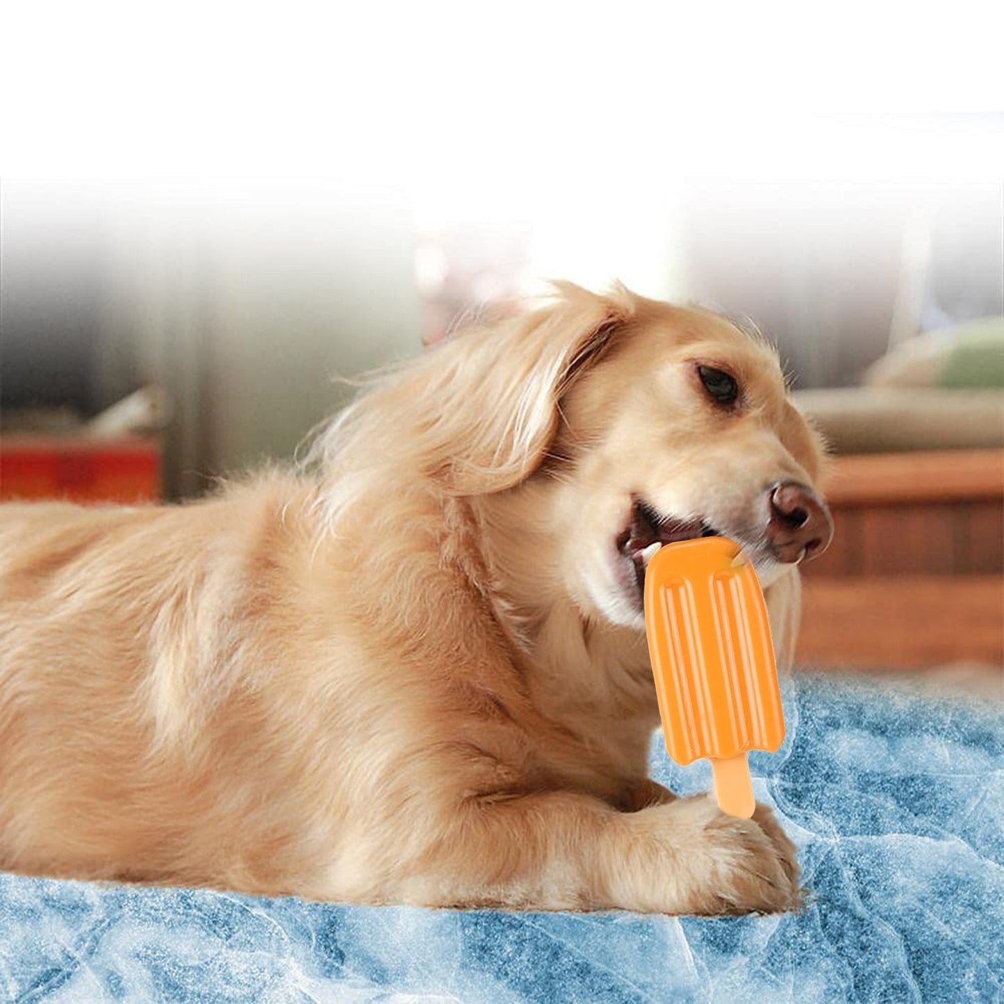 Basil Cool Lick Silicon Ice-Cream Pet Toy, Freeze and Play (Orange)
