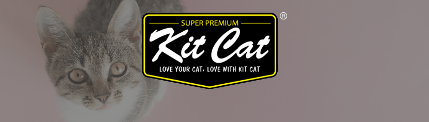 Kit Cat – TailyAffairs