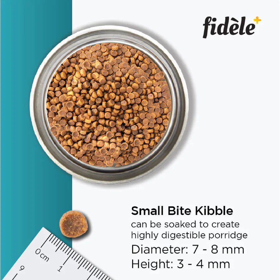 Fidele+ Dry Dog Food Starter Puppy