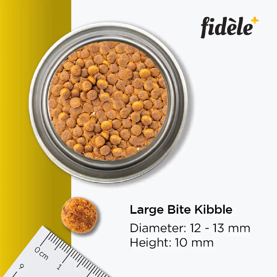 Fidele+ Dry Dog Food Large Puppy