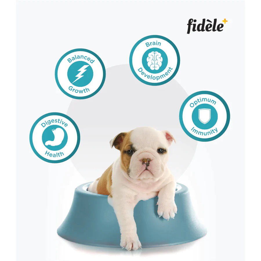 Fidele+ Dry Dog Food Starter Puppy