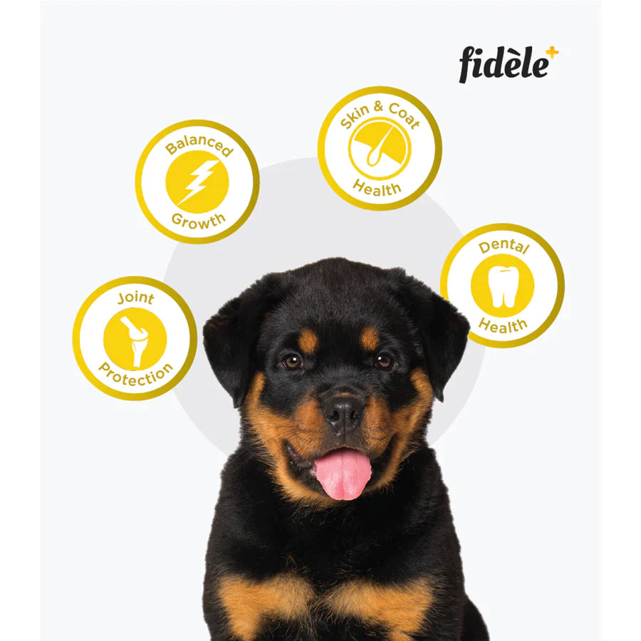 Fidele+ Dry Dog Food Large Puppy