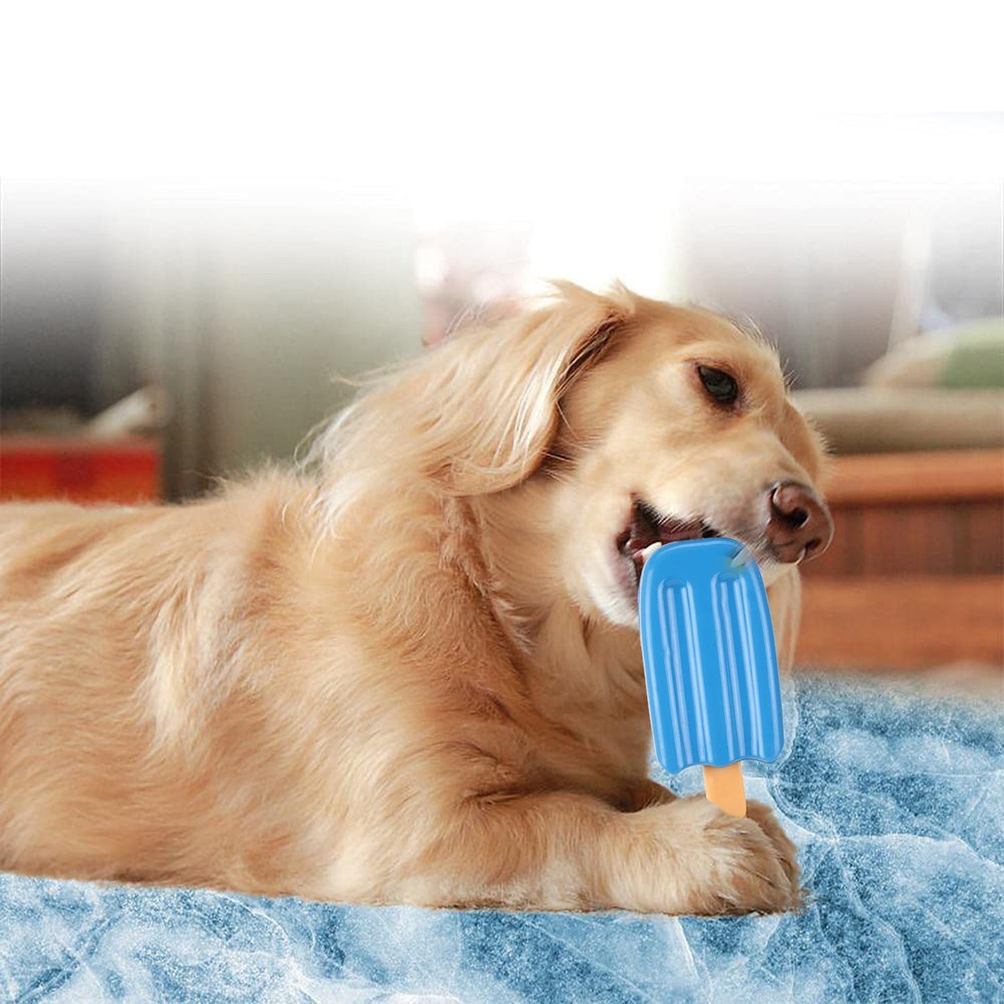 Basil Cool Lick Silicon Ice-Cream Pet Toy, Freeze and Play (Blue)